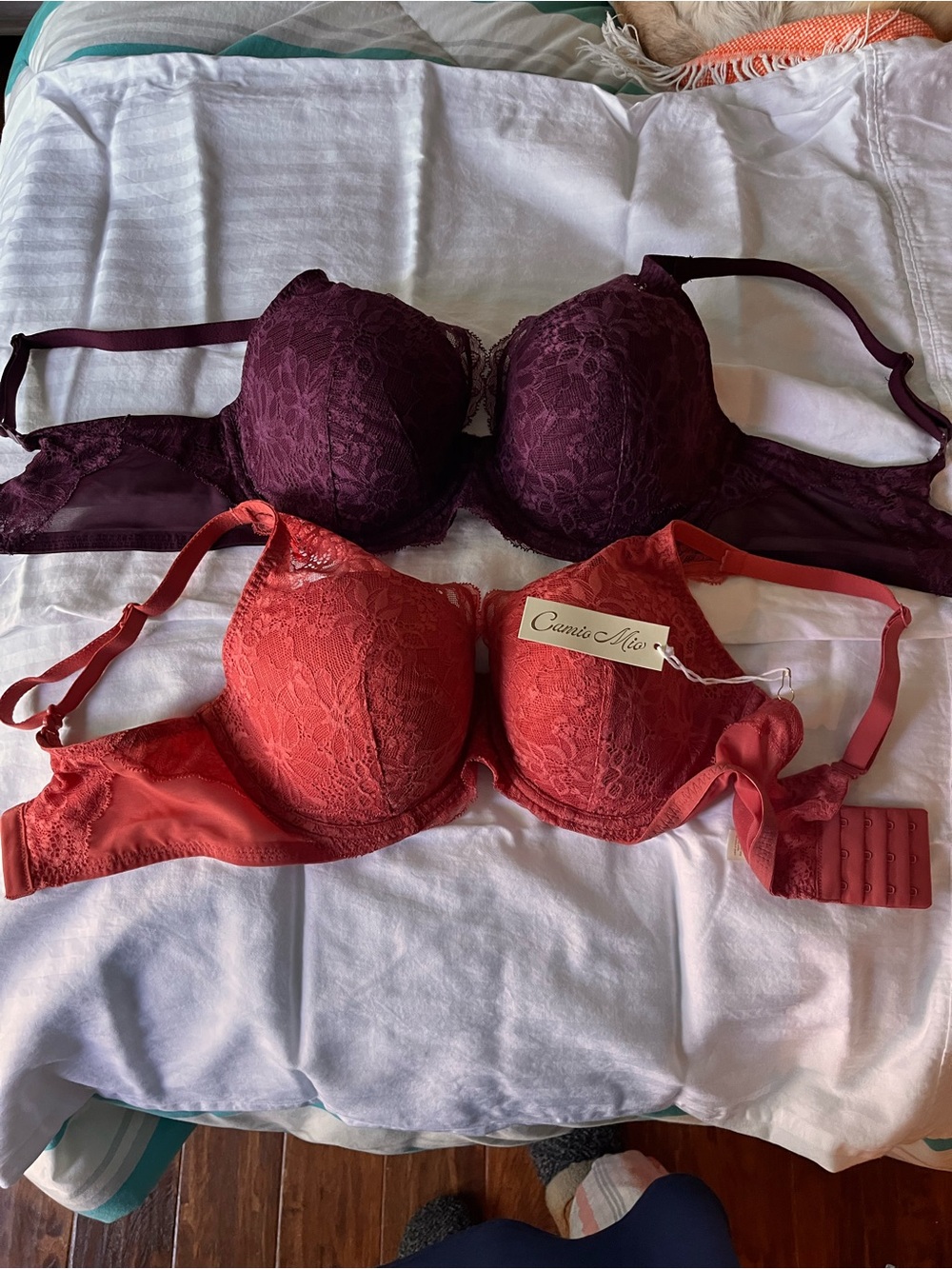 Bare Necessities Lace Plunge Bras 34DDD NWT